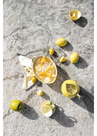 Miska s víkem LEMON Miska s víkem LEMON
