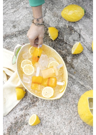 Miska s víkem LEMON Miska s víkem LEMON