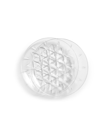 Velký talíř PIKNIK, 2 ks, transparent Velký talíř PIKNIK, 2 ks, transparent