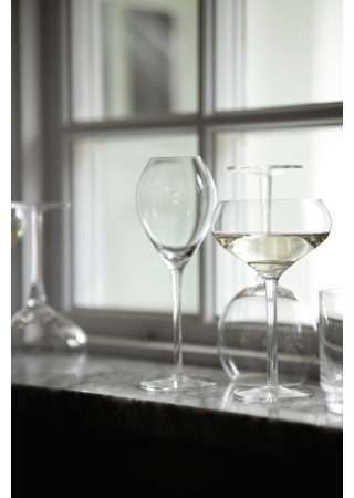 SAGA GLASS CHAMPAGNE CUP, 2-PACK, 27CL SAGA GLASS CHAMPAGNE CUP, 2-PACK, 27CL