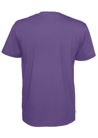 Pánské tričko Cottover s výstřihem do Purpurová, nachová Back Pánské tričko Cottover s výstřihem do Purpurová, nachová Back