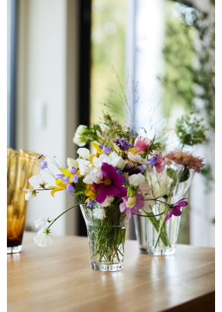 VIVA VASE SMALL CLEAR VIVA VASE SMALL CLEAR
