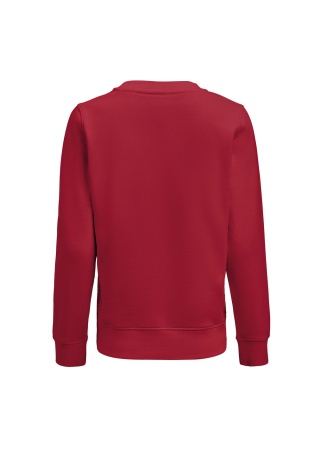 Dámská mikina SOFTBALL Červená Back Dámská mikina SOFTBALL Červená Back