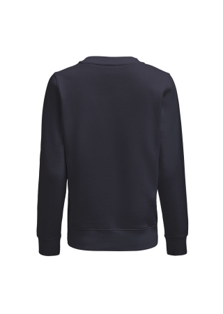 Dámská mikina SOFTBALL DARK NAVY Back Dámská mikina SOFTBALL DARK NAVY Back