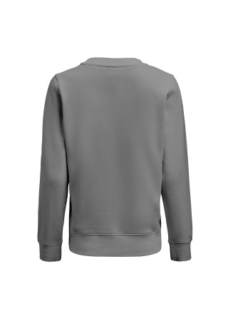Dámská mikina SOFTBALL Ocelová šedá Back Dámská mikina SOFTBALL Ocelová šedá Back